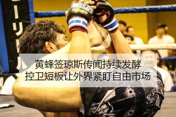 黄蜂签琼斯传闻持续发酵 控卫短板让外界紧盯自由市场